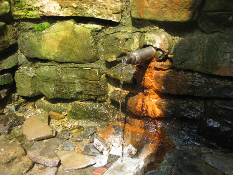 Кроме королевы схидницких минеральных вод «Нафтуся», Сходница может похвастаться водами с повышенным содержанием железа, уникальными щелочными водами и др
